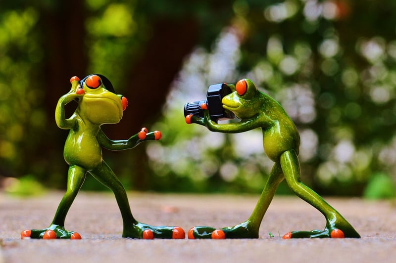 Whimsical Photoshoot